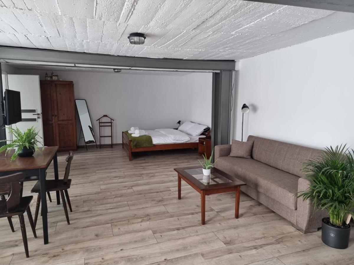 Апартаменты The Cozy Bunker Сибиу Экстерьер фото
