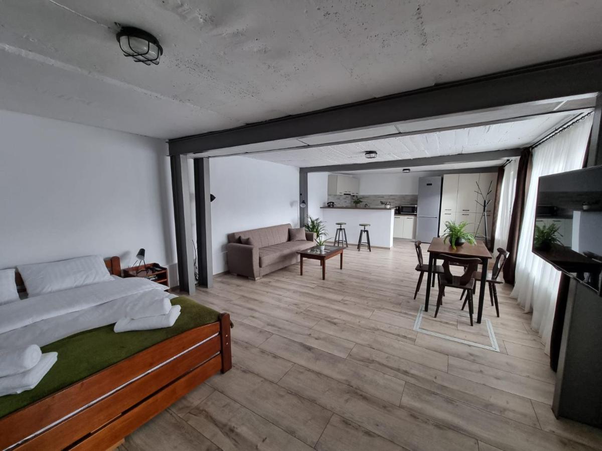 Апартаменты The Cozy Bunker Сибиу Экстерьер фото
