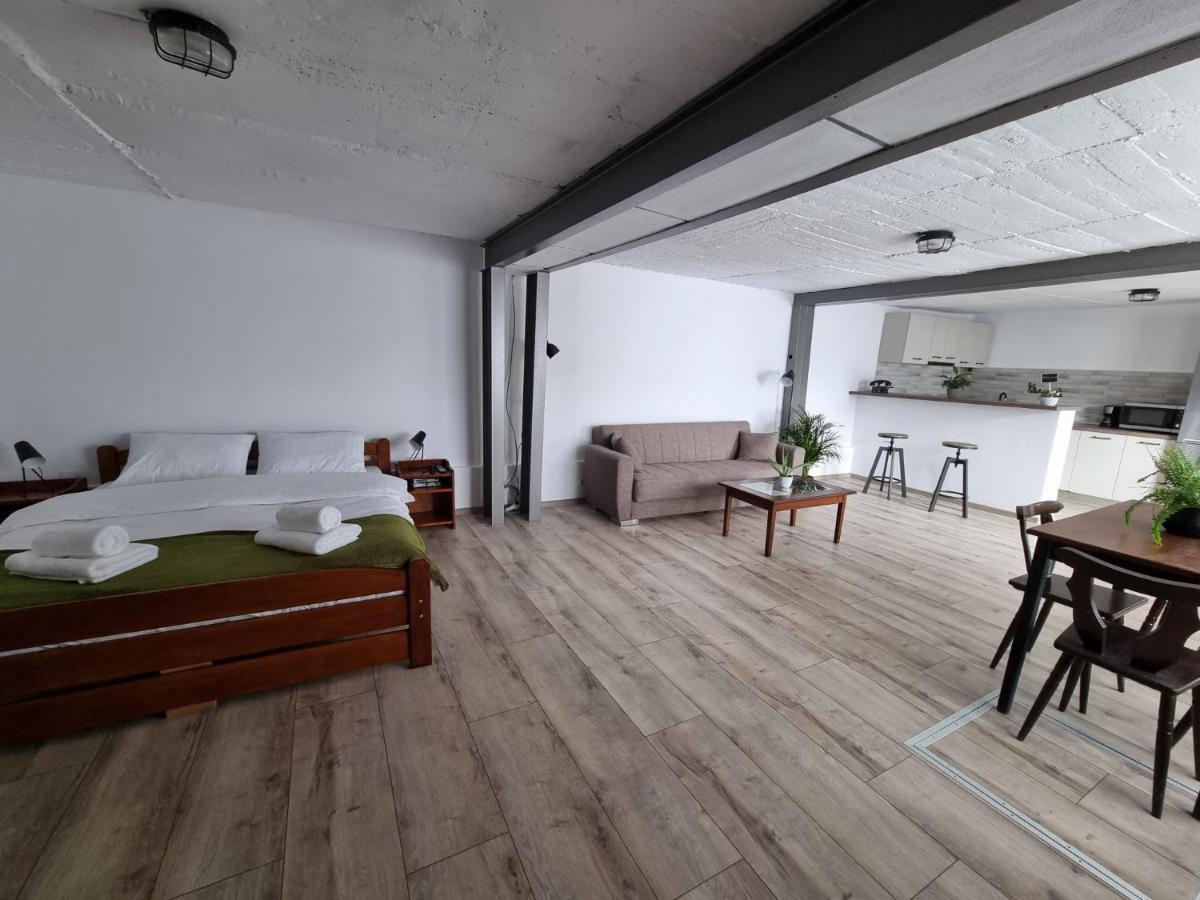 Апартаменты The Cozy Bunker Сибиу Экстерьер фото