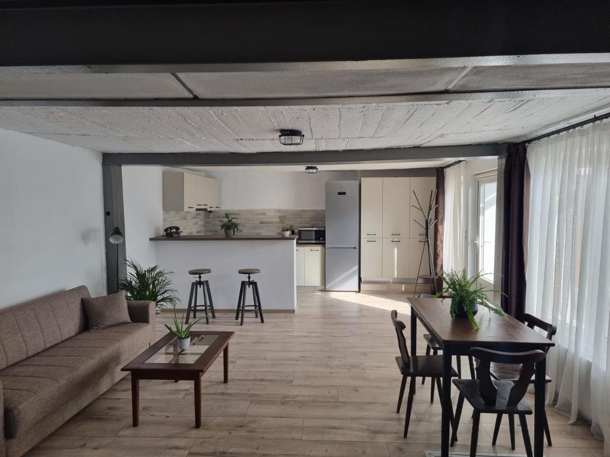 Апартаменты The Cozy Bunker Сибиу Экстерьер фото